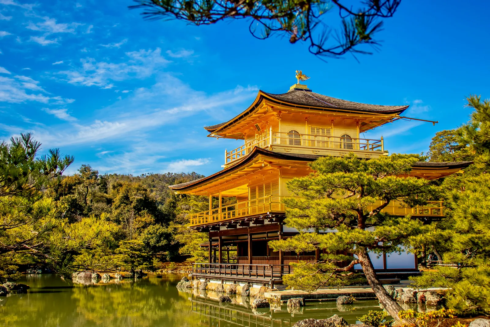 Pavilhão Dourado Kinkaku-ji refletido no lago, em Kyoto, emoldurado por flores de cerejeira