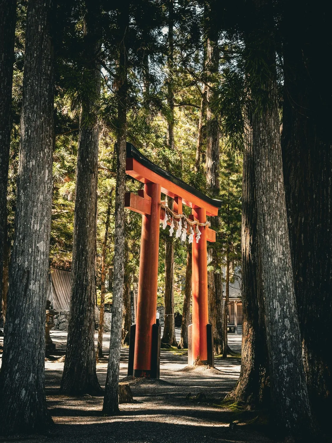 Cemitério-floresta de Okunoin em Koyasan, Japão