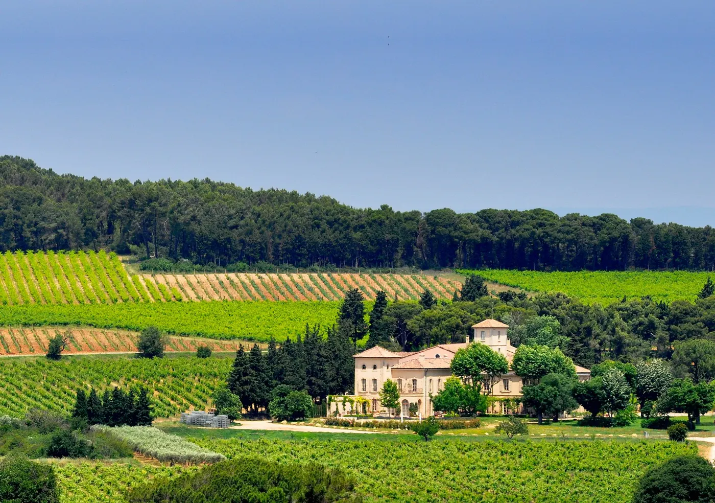 Château Gigognan entre as vinhas de Châteauneuf-du-Pape