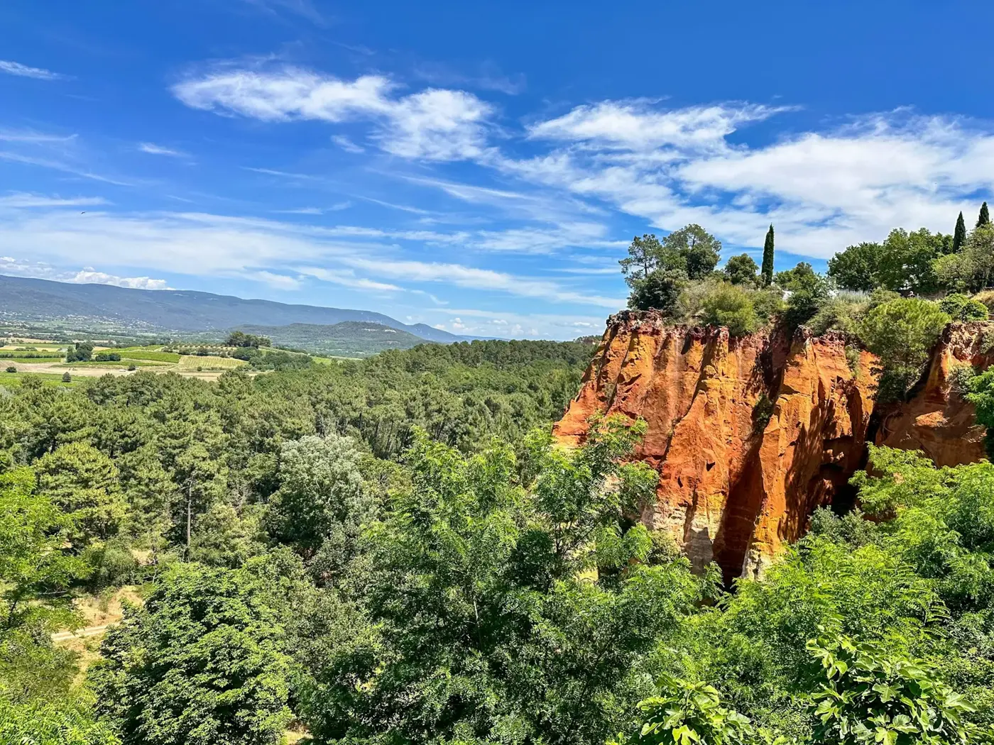 Falésias ocre de Roussillon entre pinheiros